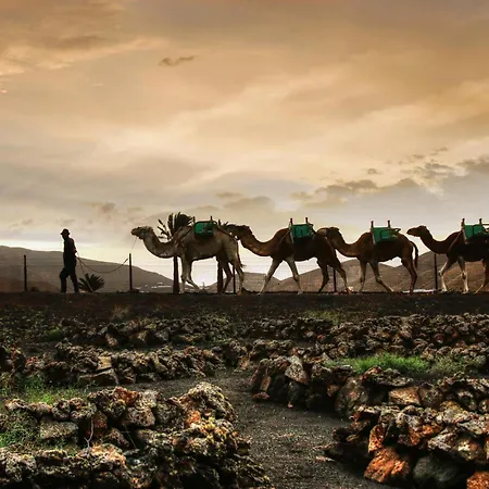 Home2book Bright Sea View 公寓