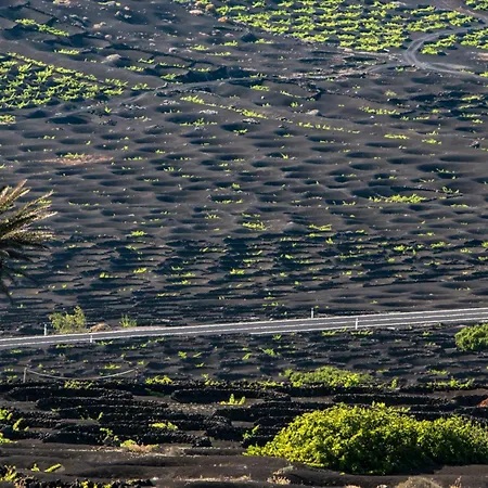 Home2book Bright Sea View