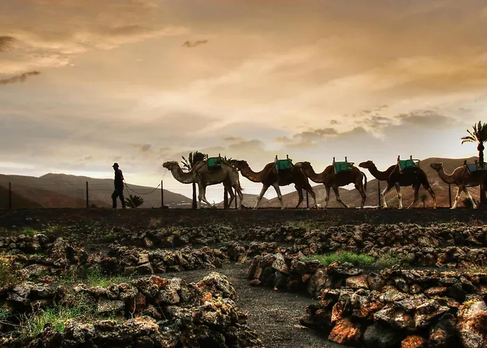 Home2book Bright Sea View شقة