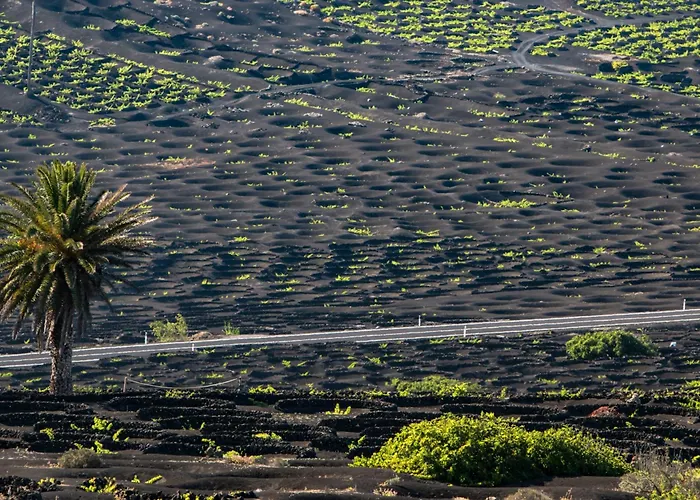 Home2book Bright Sea View